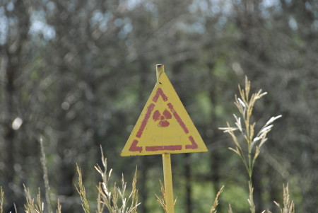 NATURE FIGHTS BACK IN CHERNOBYL – Tchernobyl, une histoire naturelle? 3