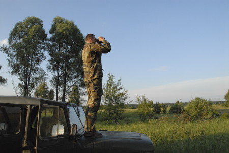 NATURE FIGHTS BACK IN CHERNOBYL – Tchernobyl, une histoire naturelle? 9