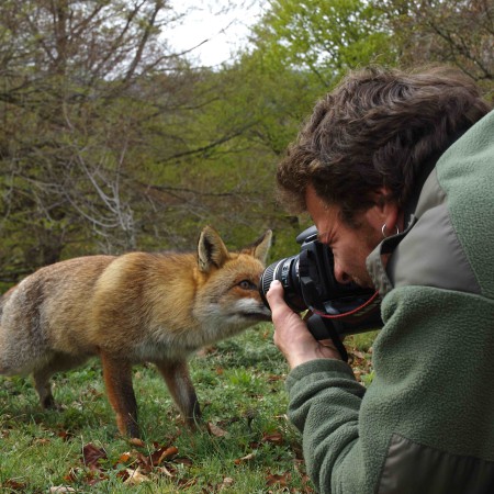 ON THE TRAIL OF THE FOX - Sur les traces du renard 4