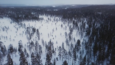 OURS_Tackasen hiver_Capture d’écran 22 ©ARTE France – Le cinquième rêve – Pôles d’images