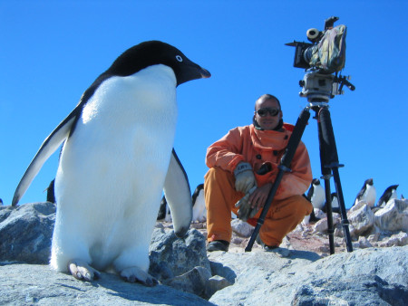 RUSH HOUR ANTARCTICA – Antarctique, printemps express 6