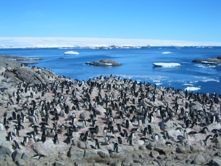 RUSH HOUR ANTARCTICA – Antarctique, printemps express 7